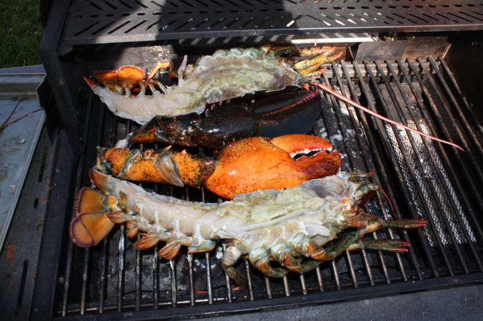 Lobster 5-29-2011 4-40-05 PM.JPG (2 MB)